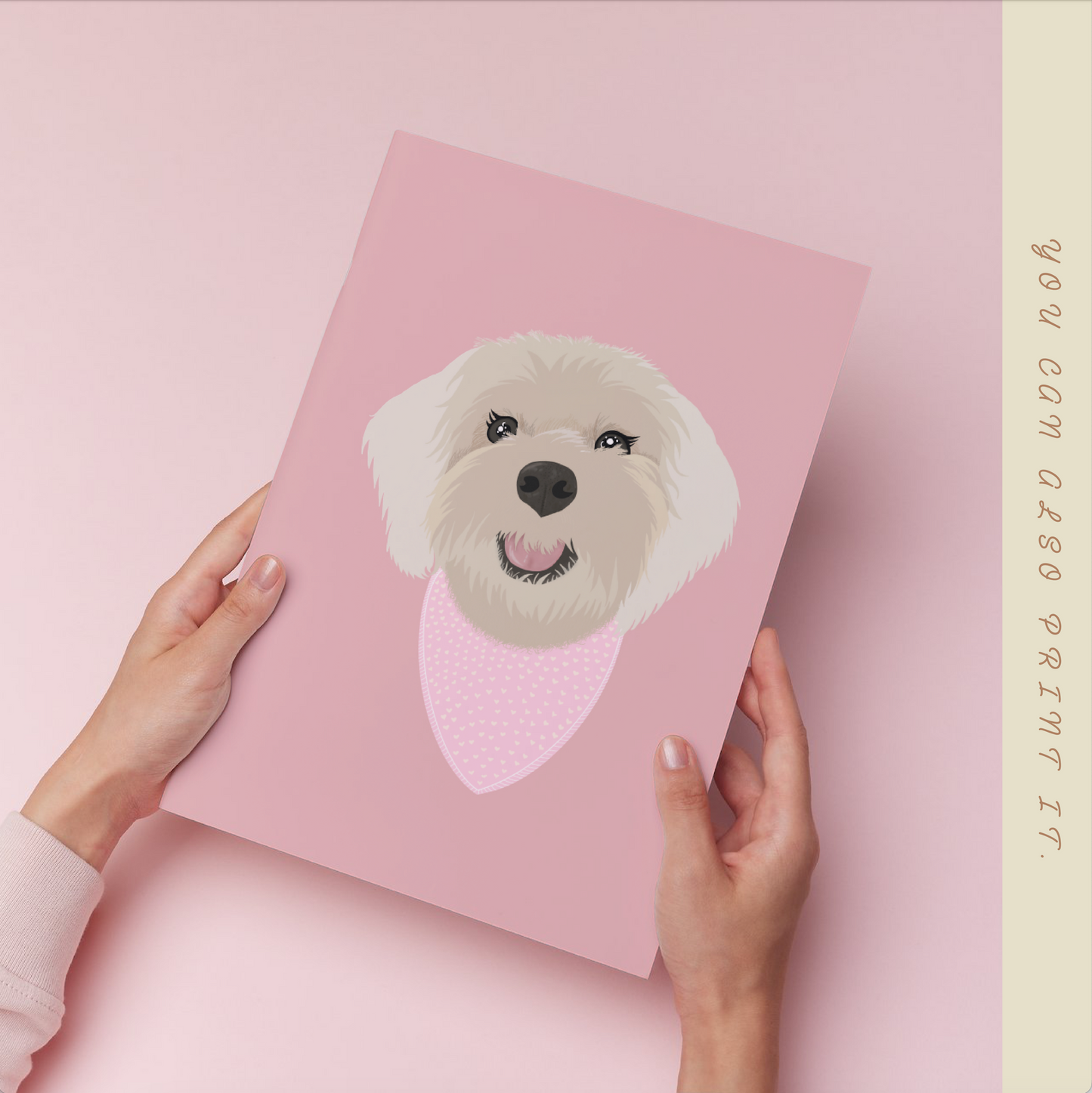 Pet Illustrations