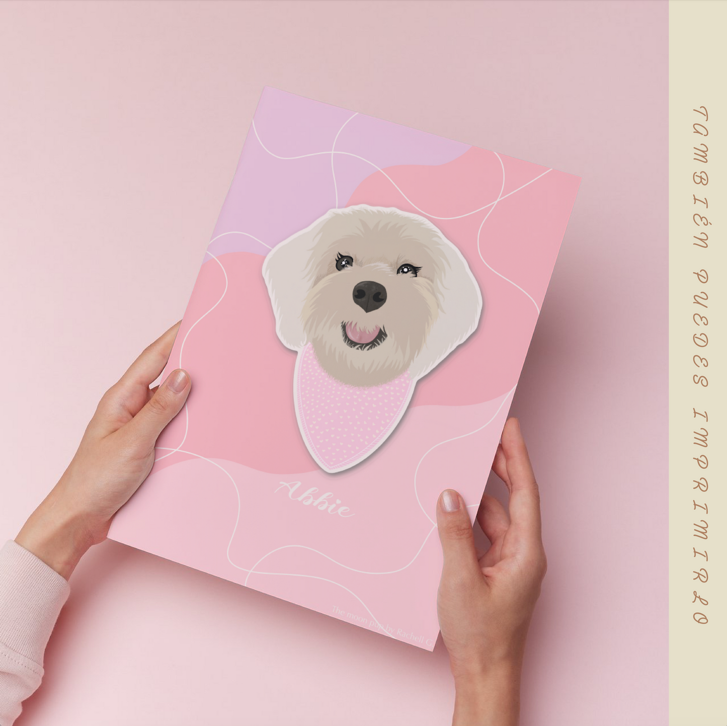 Pet Illustrations