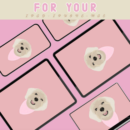 Pet Illustrations