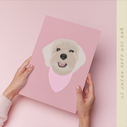 Pet Illustrations